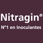 Nitragin